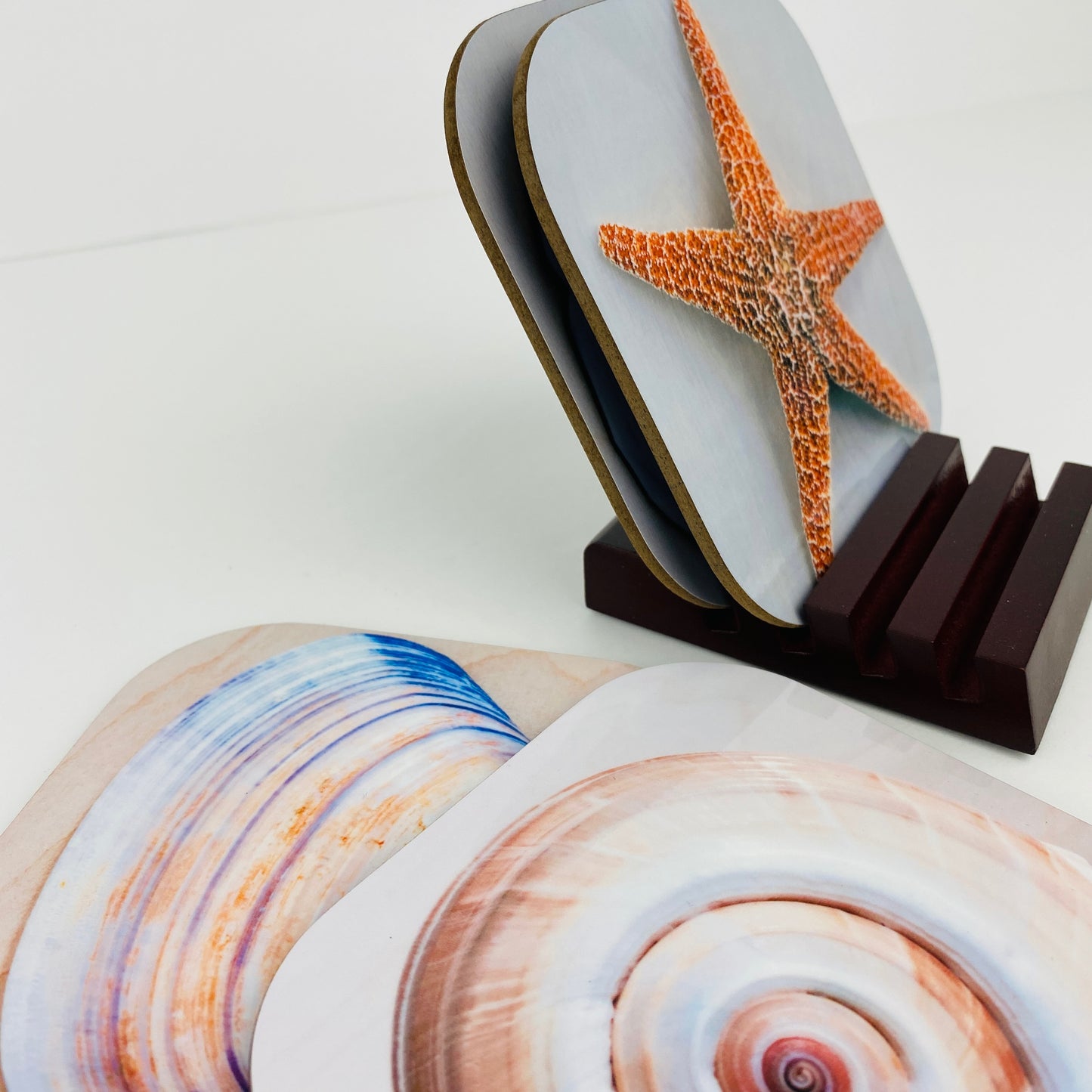 Coaster Set - Shells