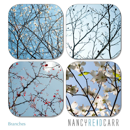 Coaster Set - Branches