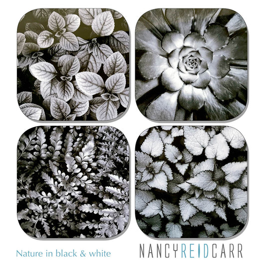 Coaster Set - Nature in Black & White